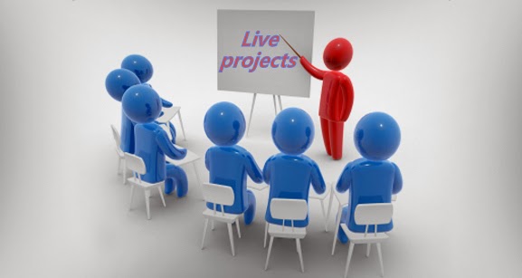 Live Project Training
